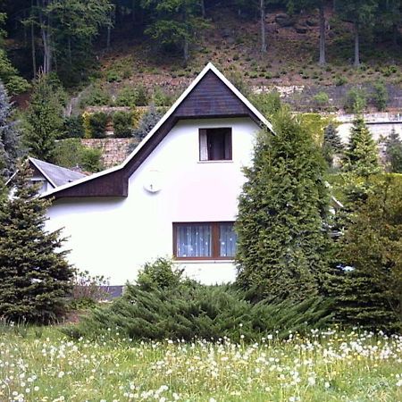 Ferienhaus Greti ชตัดท์เวเลิน ภายนอก รูปภาพ